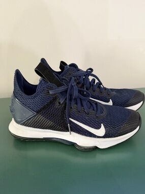 Nike LeBron Witness IV TB sneakers